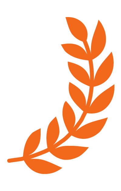 Icon 06